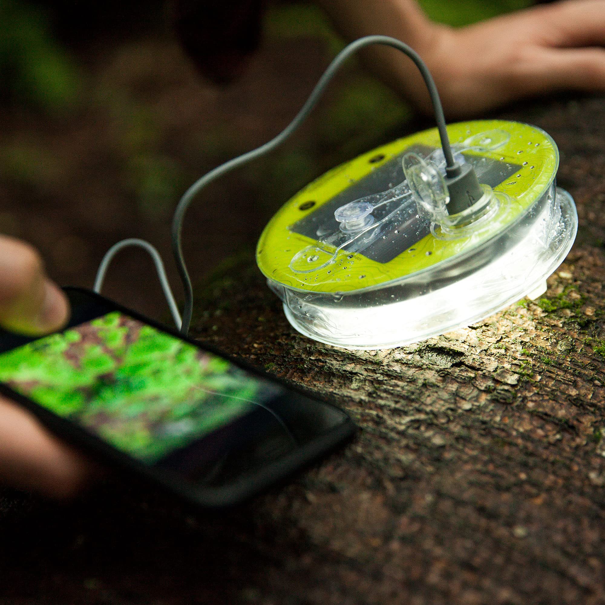 Luci Pro Outdoor 2.0: 150 Lumens, Usb-C Charging, Clear Finish + White Leds