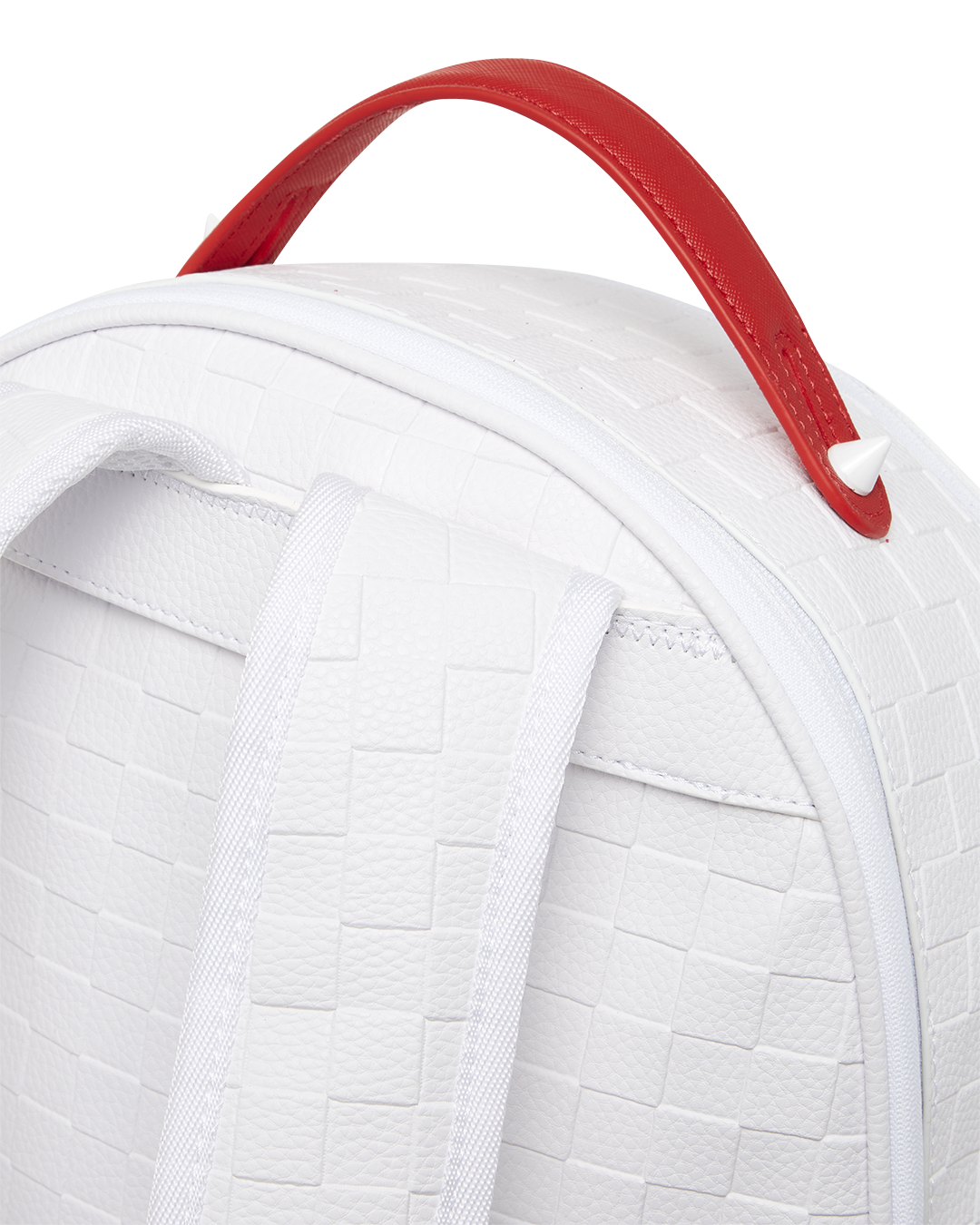 Shark Trip New Cargo