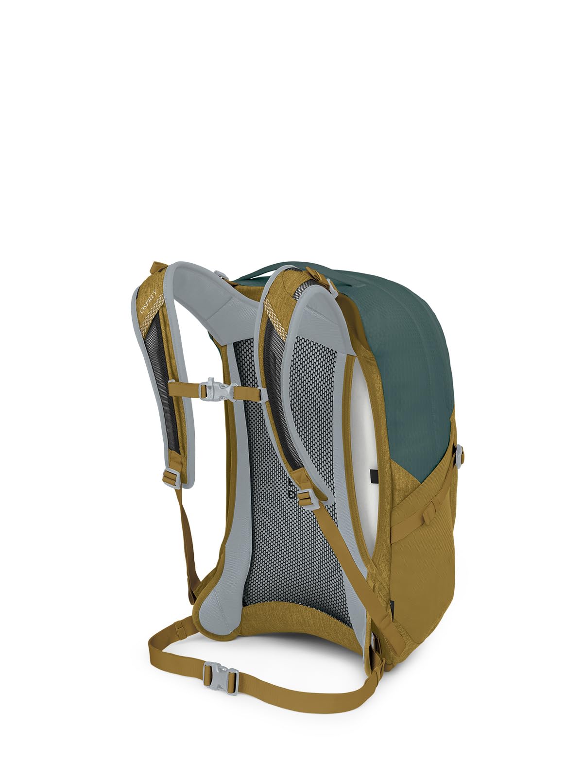 Green Tunnel/Brindle Brown