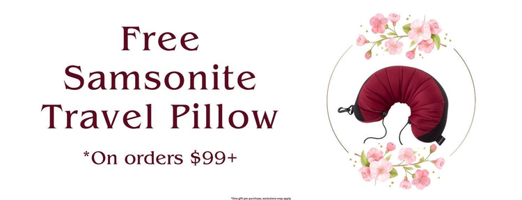Free samsonite pillow 