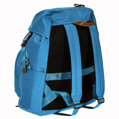 Cornflower Blue