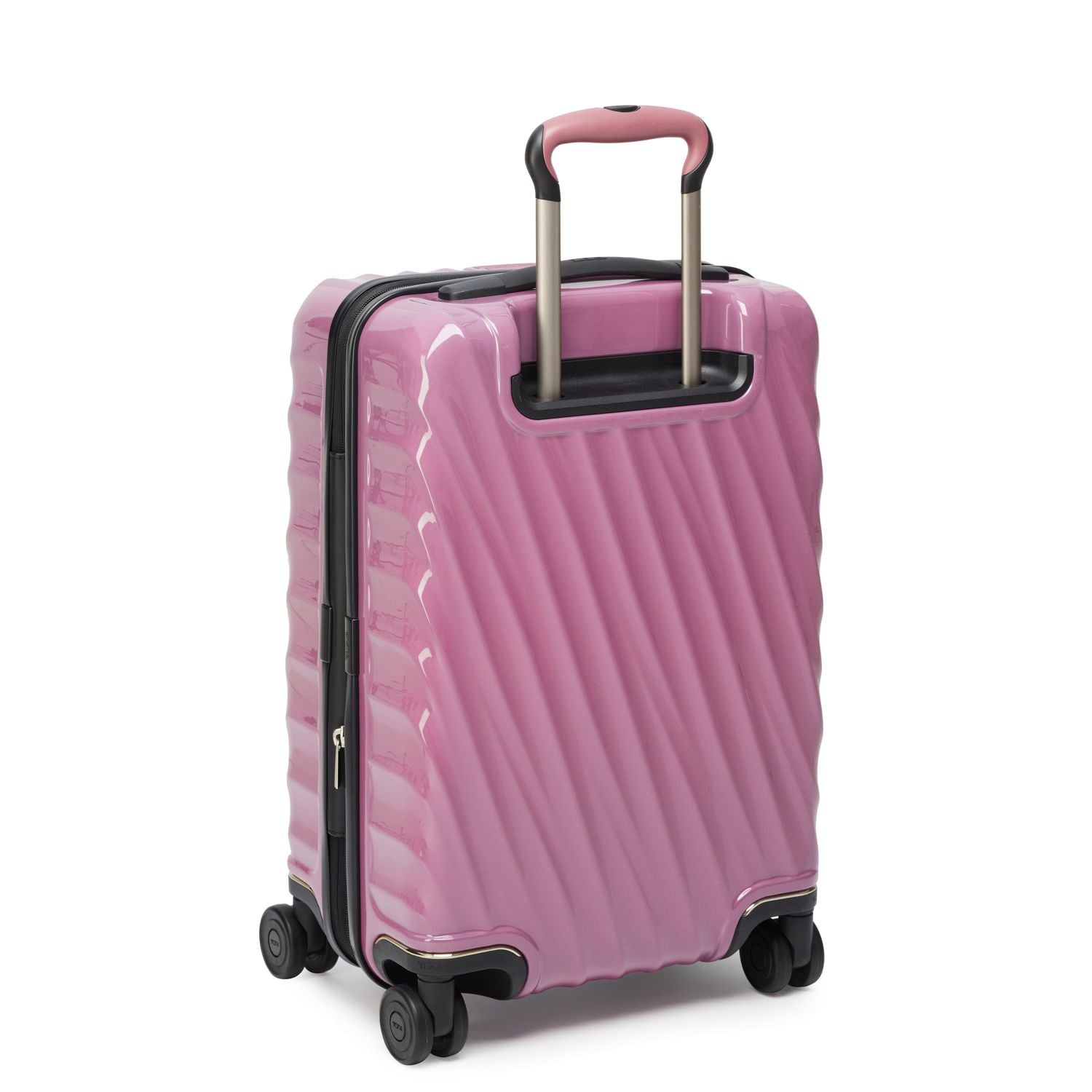 Hibiscus / Int'l Carry On