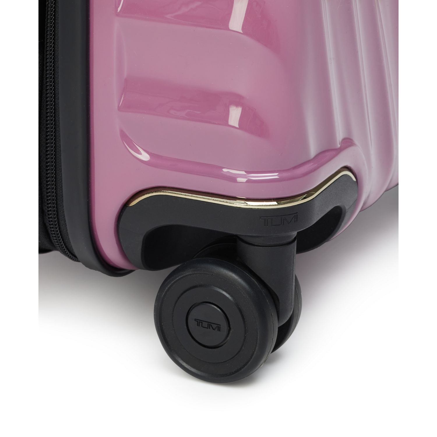 Hibiscus / Int'l Carry On