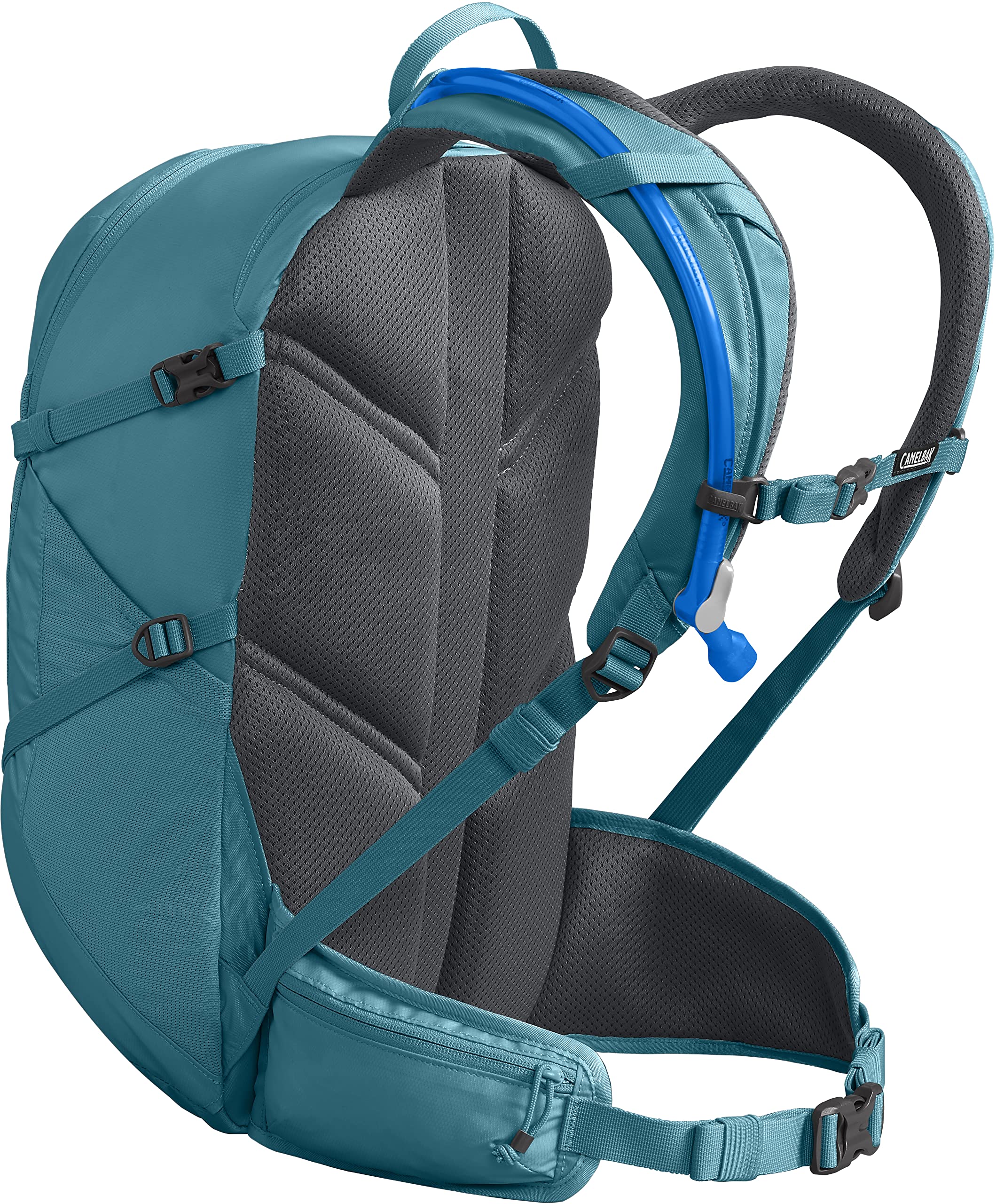 Dragonfly Teal/Charcoal