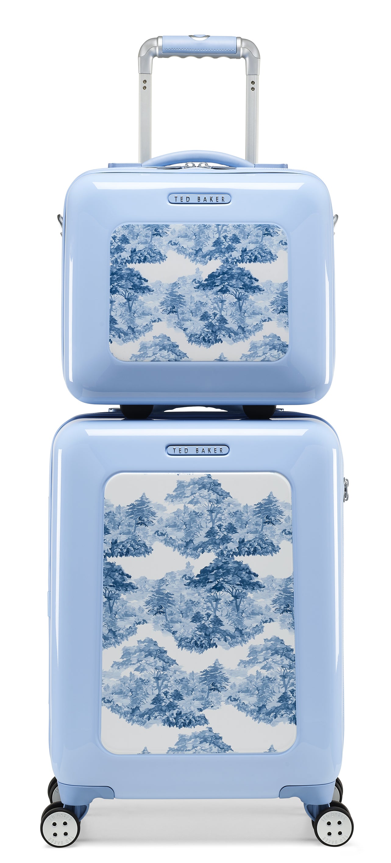 Blue Landscape / Vanity Case