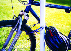 Stainless Steel/Blue