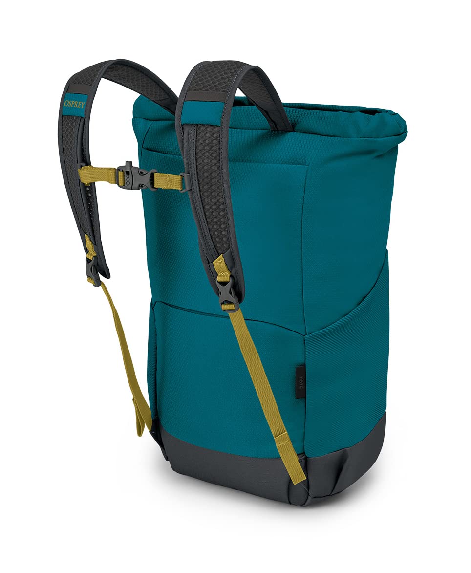 Deep Peyto Green/Tunnel Vision