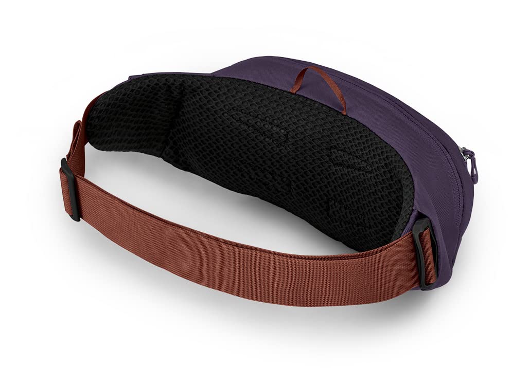 Axo Green/Enchantment Purple