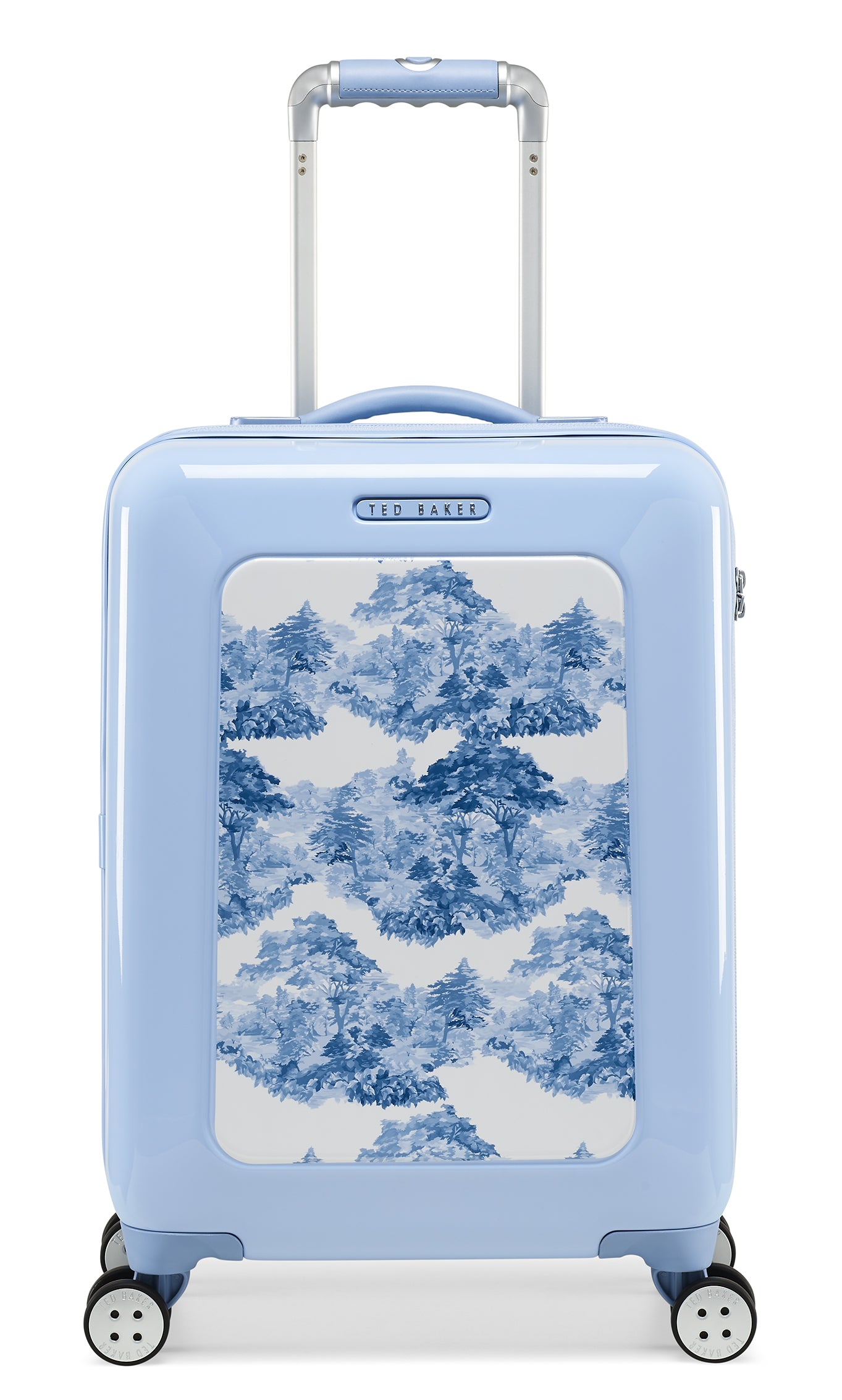 Blue Landscape / Carry-On
