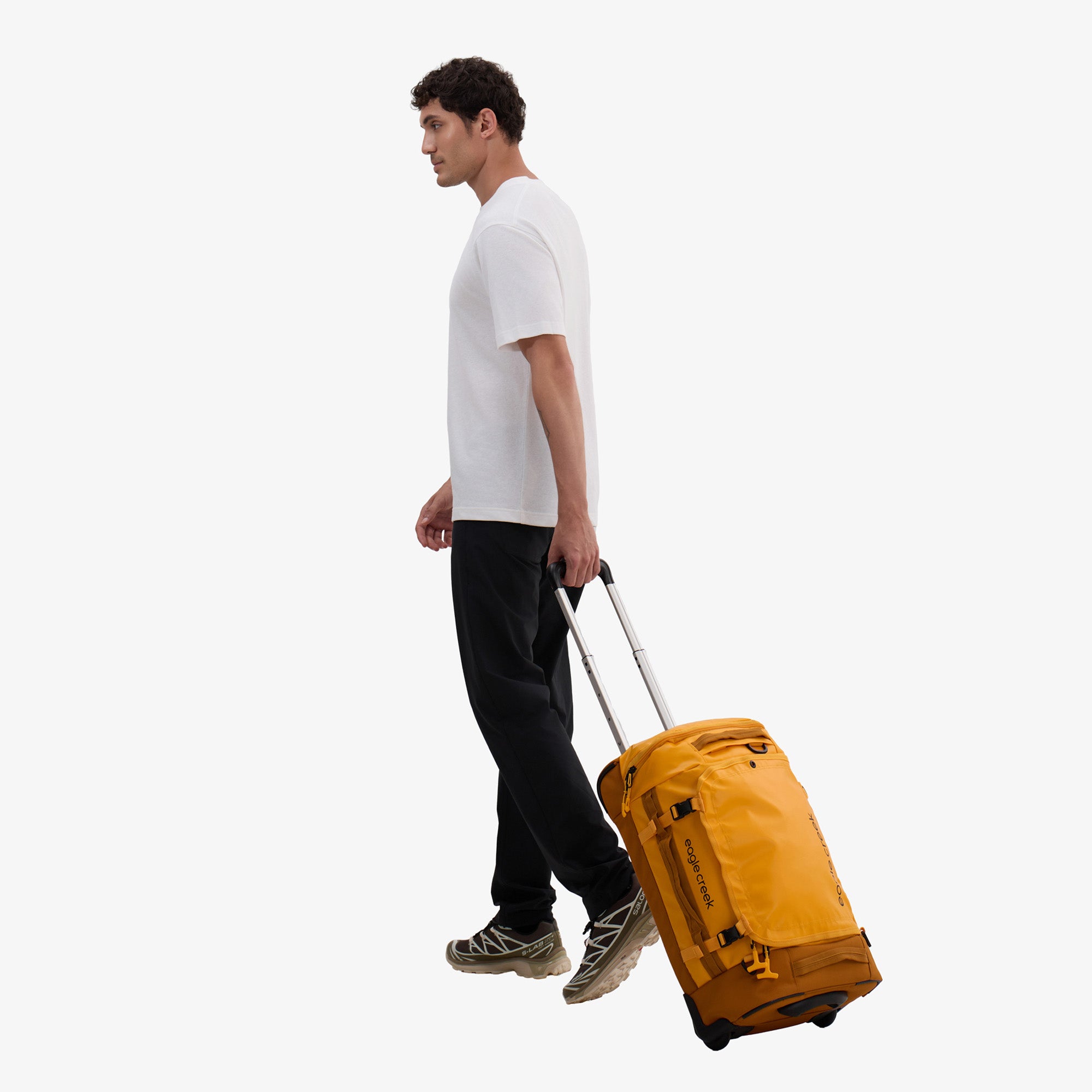 Citrus Orange
