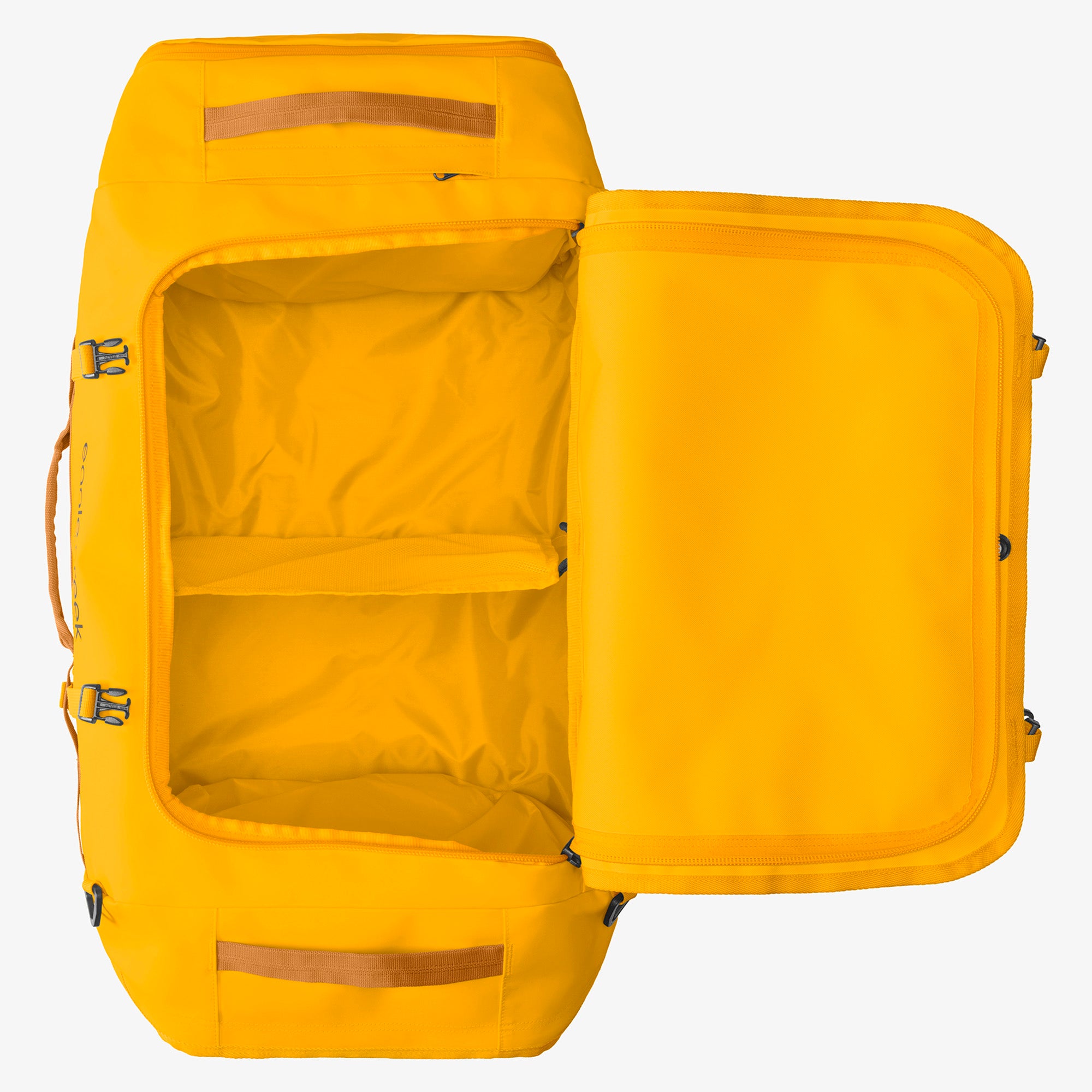 Citrus Orange