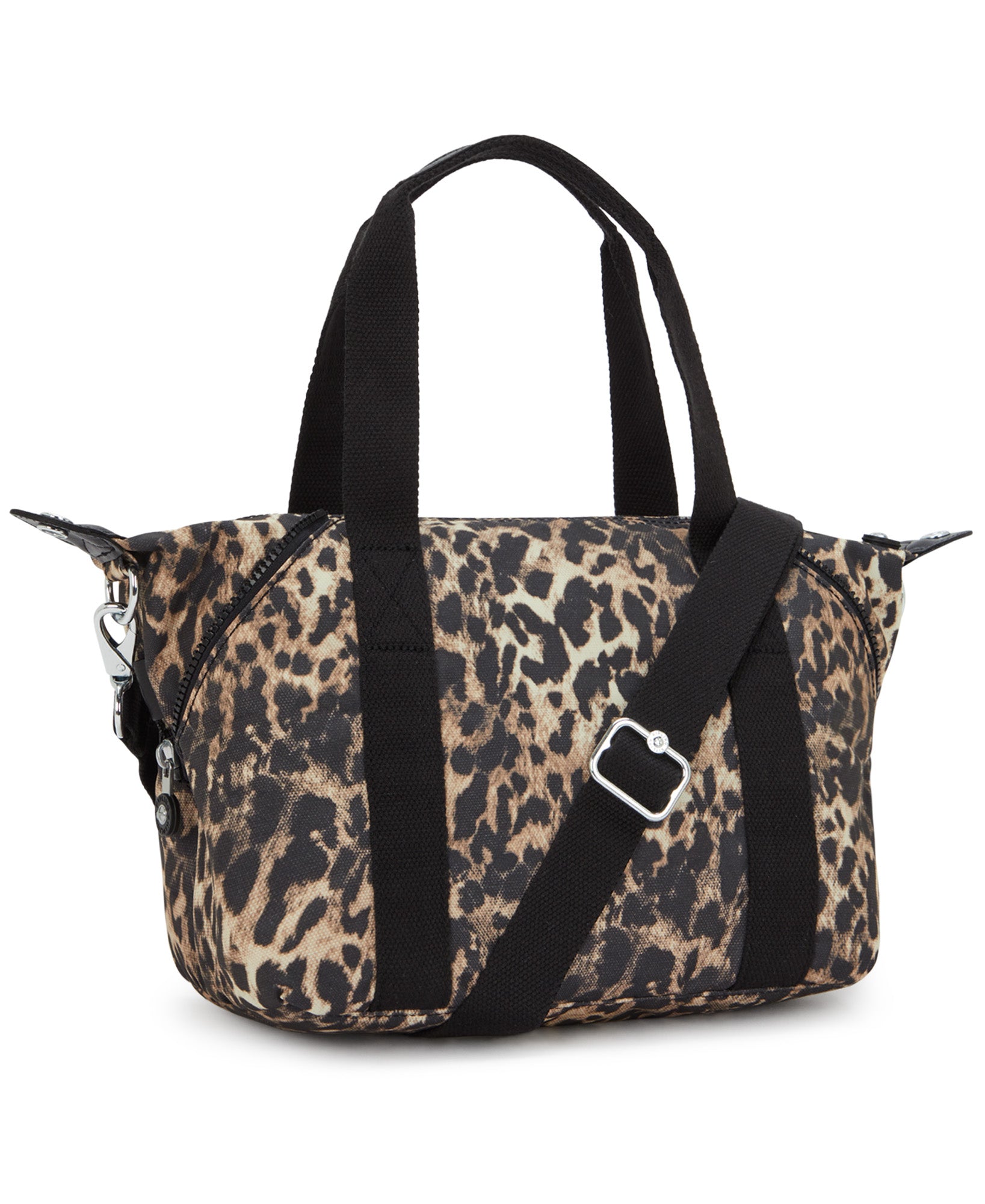 Wild Leopard