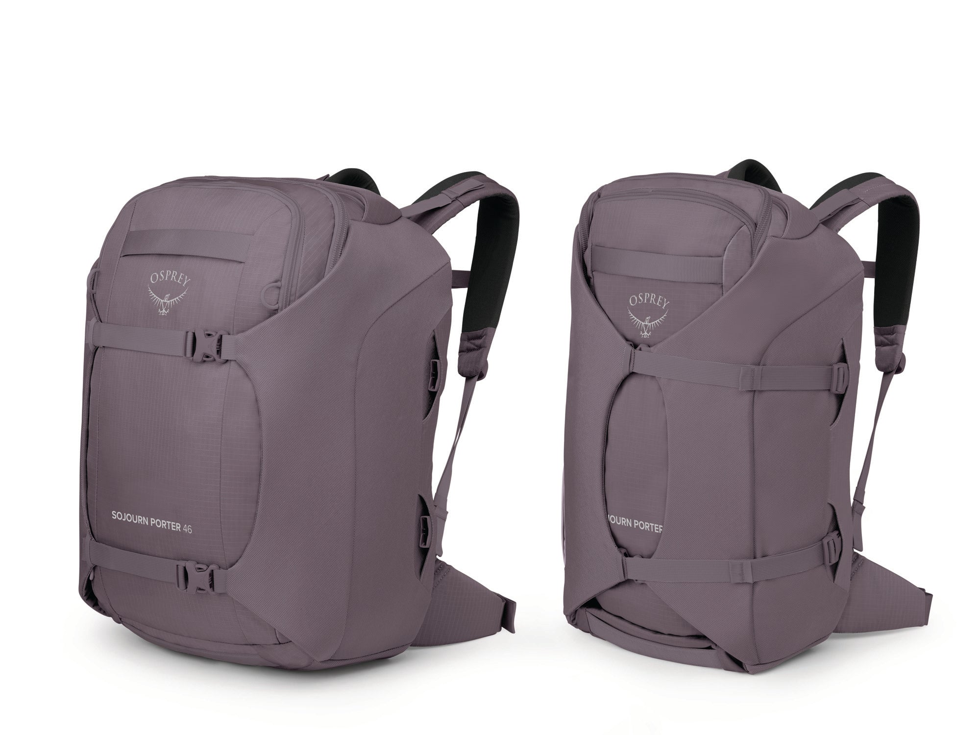 Graphite Purple