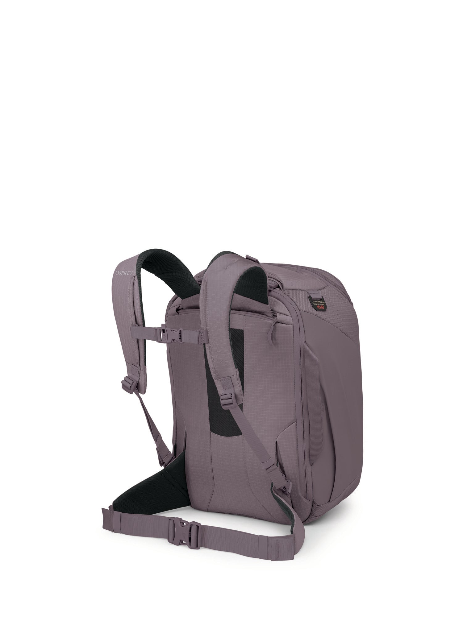 Graphite Purple