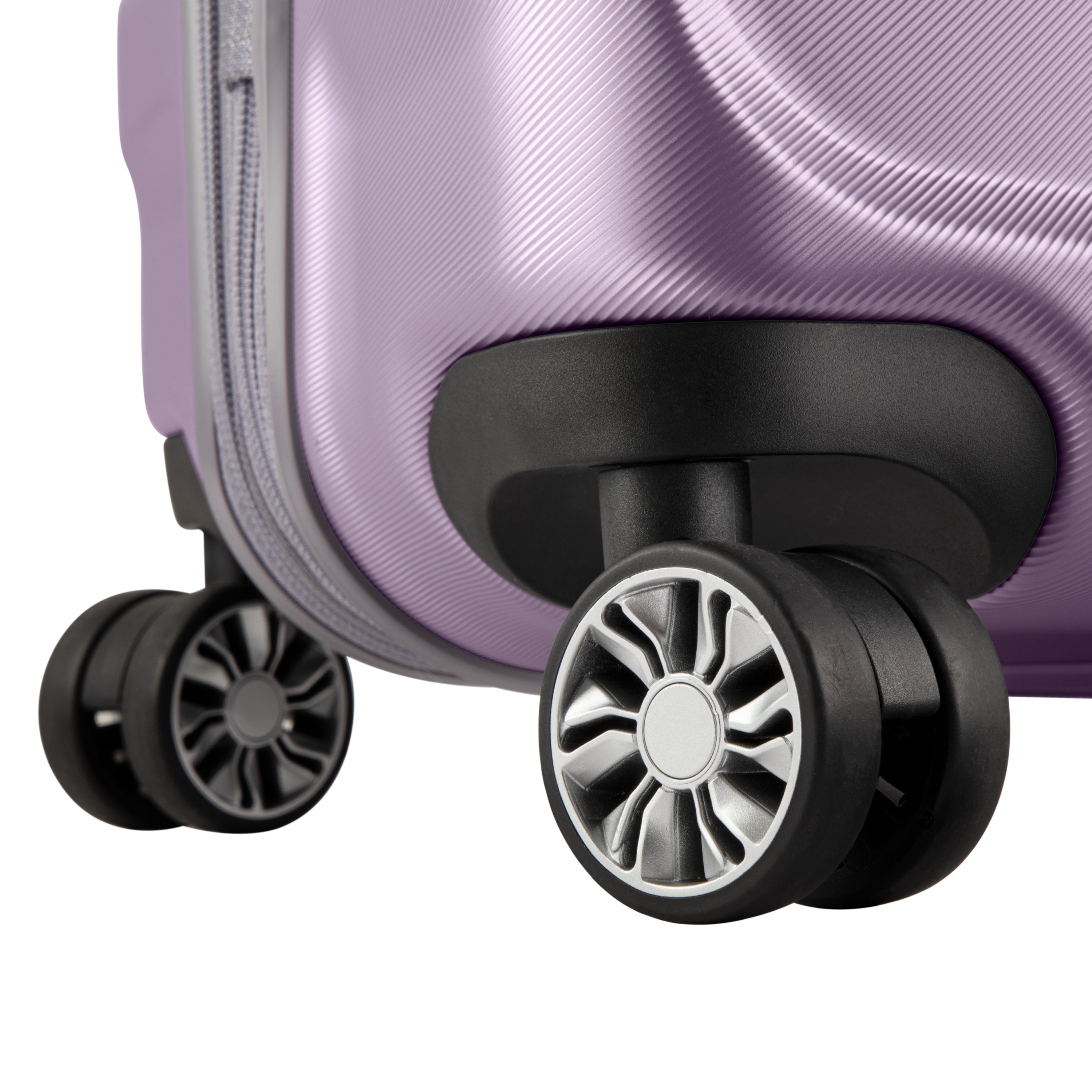 Silver Lilac