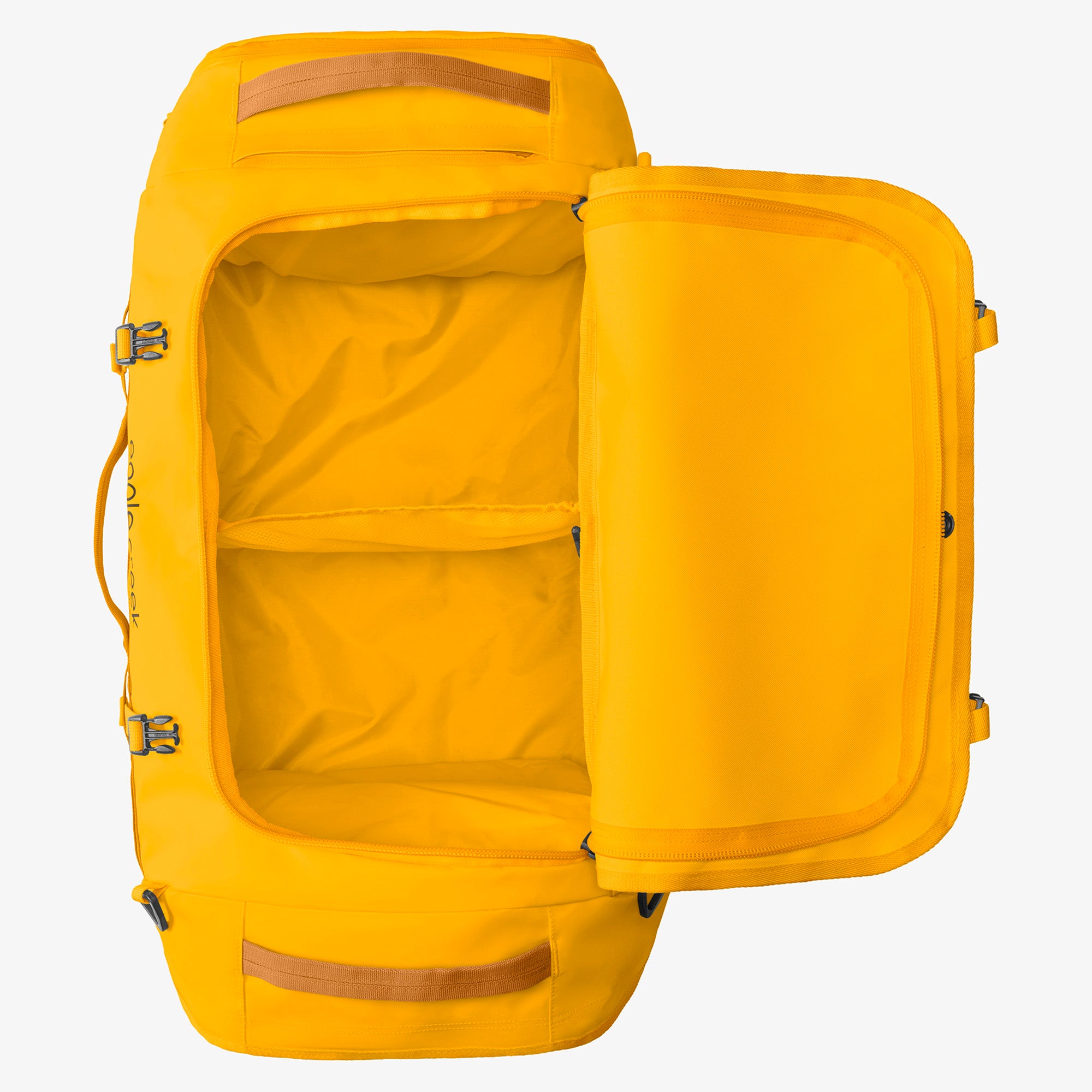 Citrus Orange