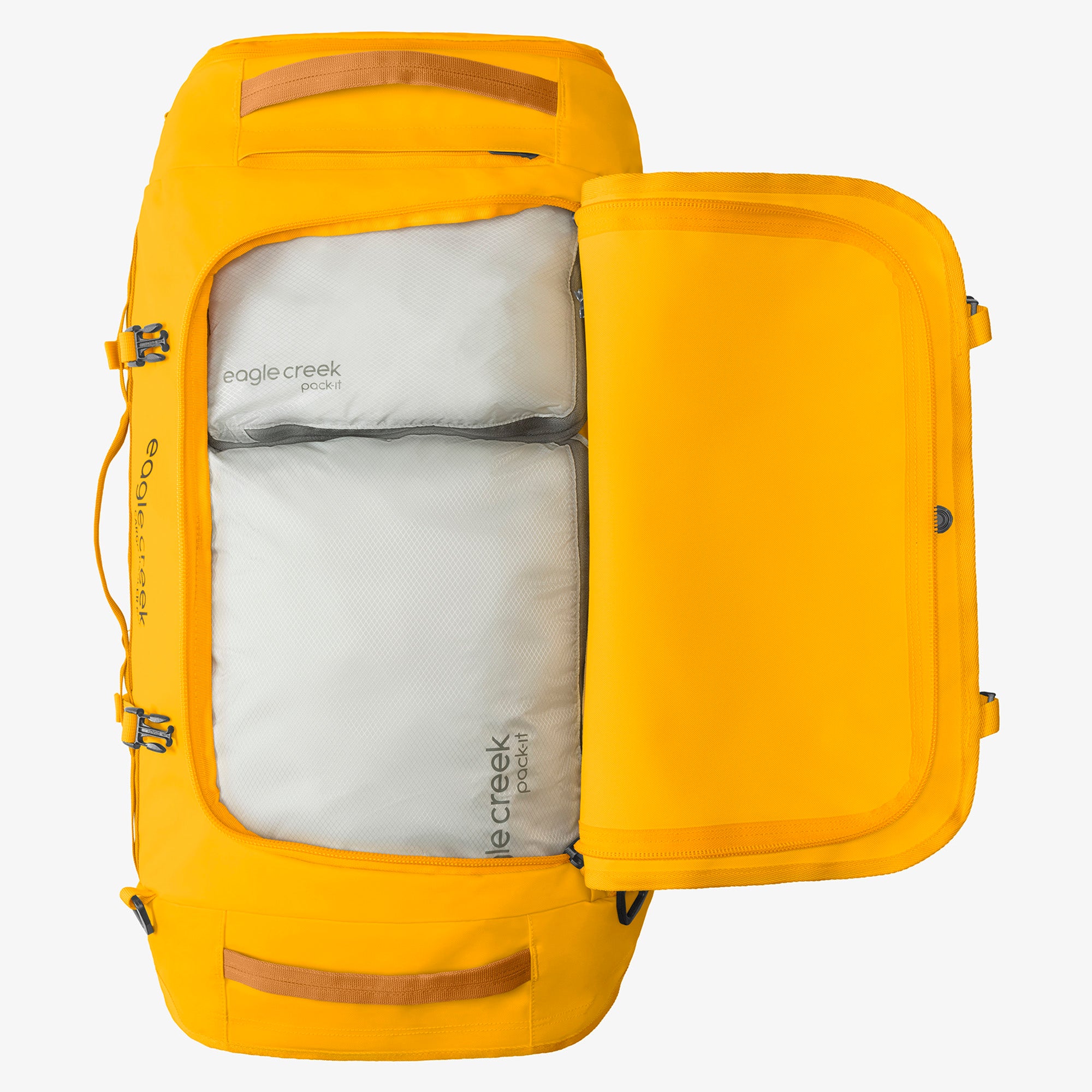 Citrus Orange