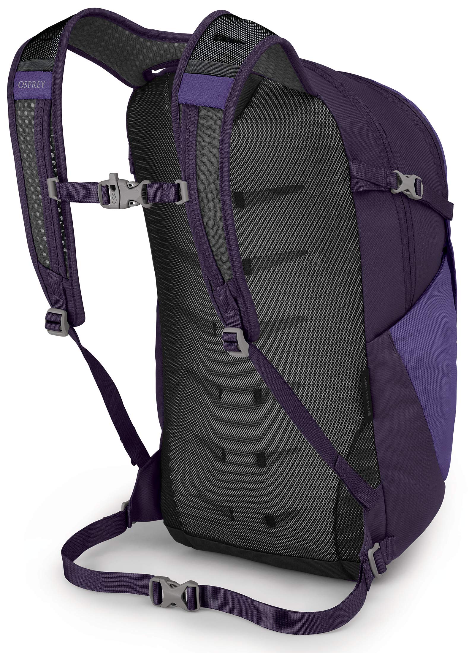 Dream Purple