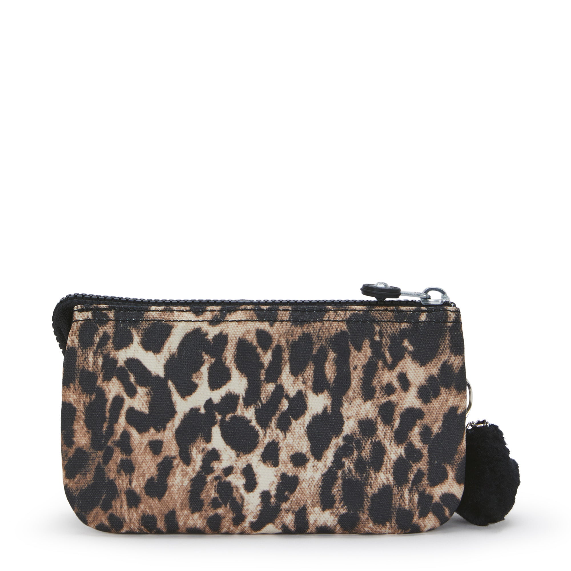 Wild Leopard