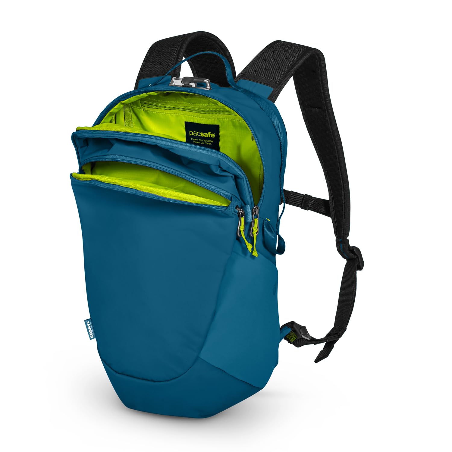 Tidal Teal