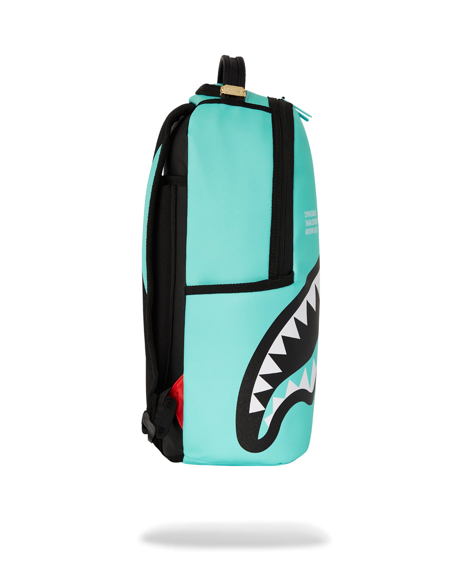 Shark Central Aqua