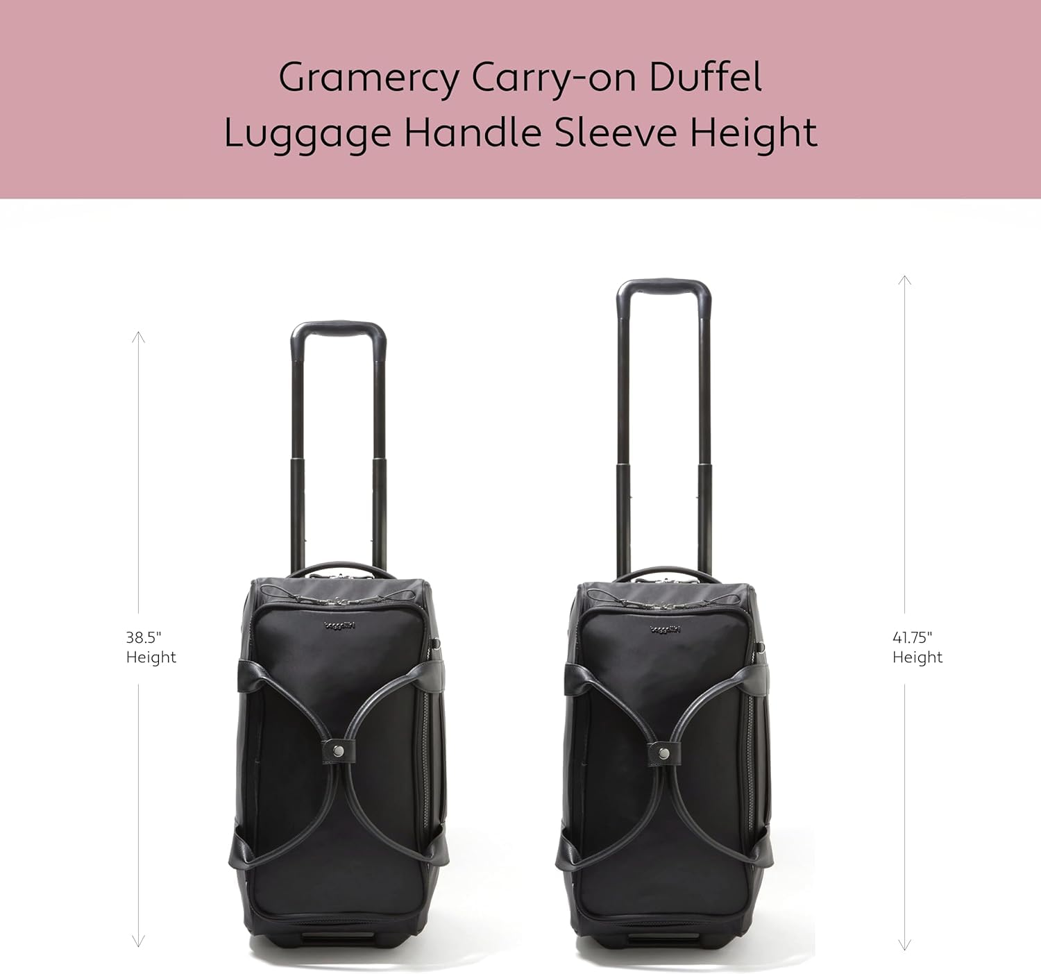 Mulberry