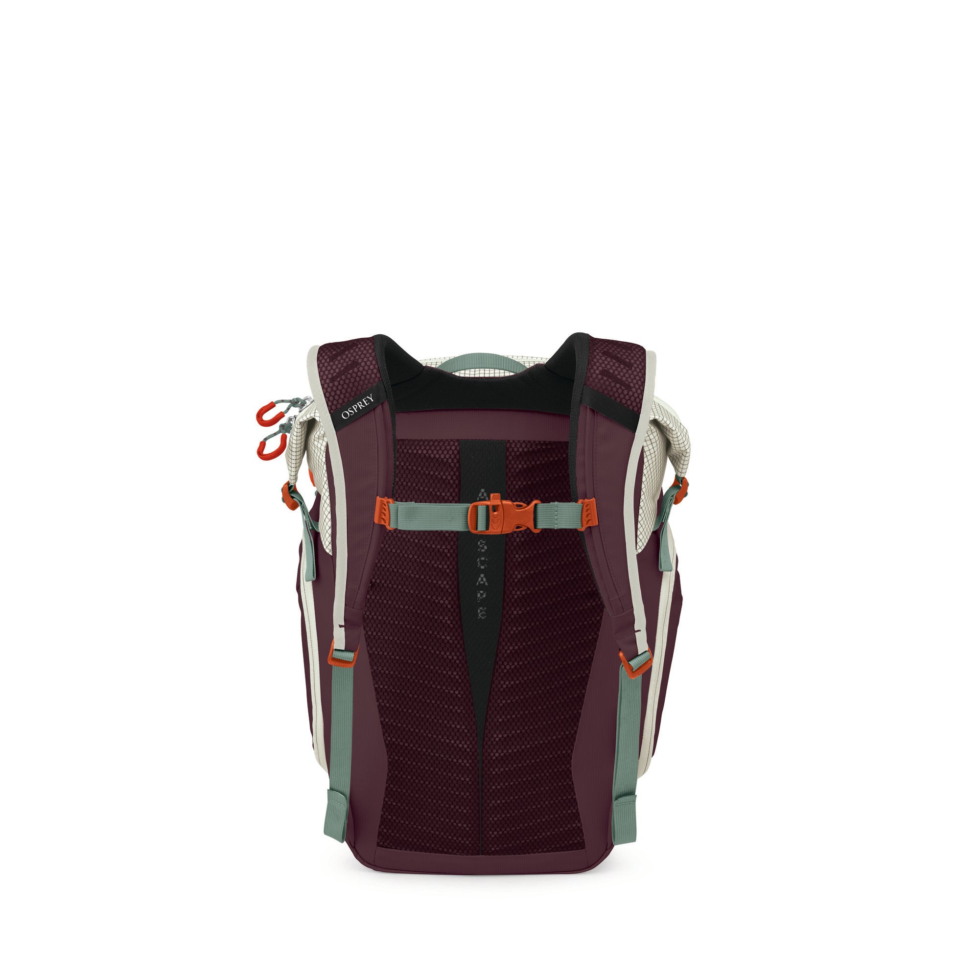 Mystery White/Moody Burgundy