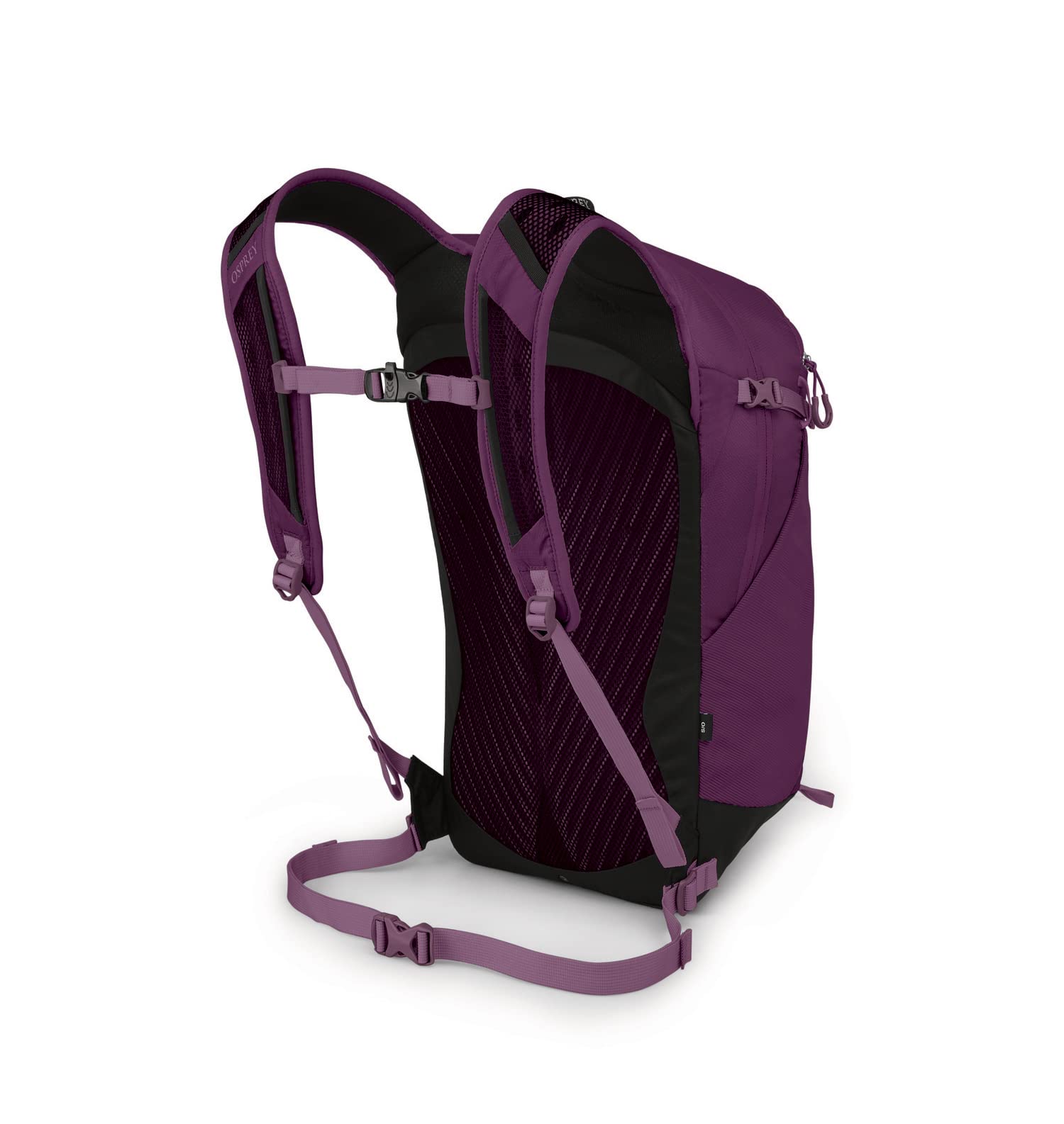 Aubergine Purple