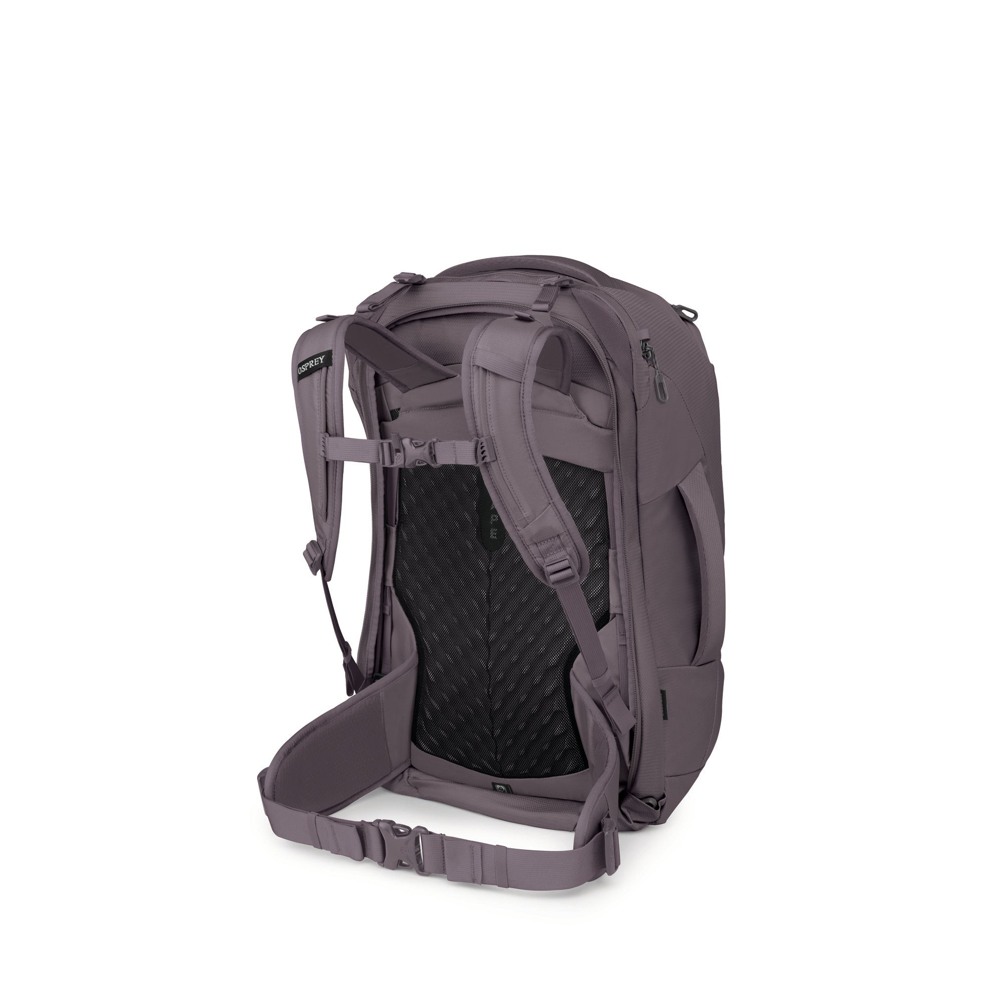 Graphite Purple