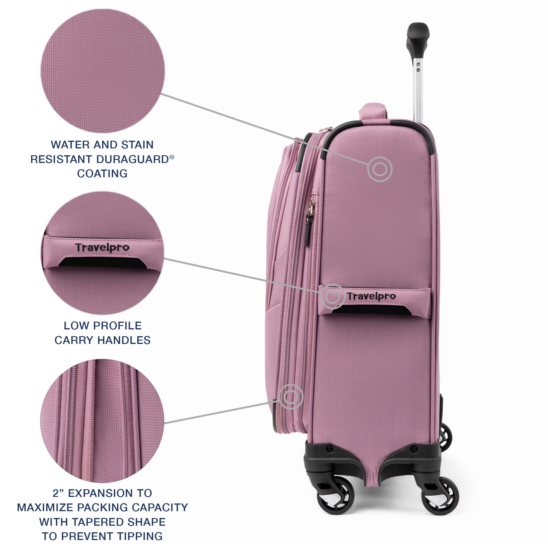 Orchid Pink Purple