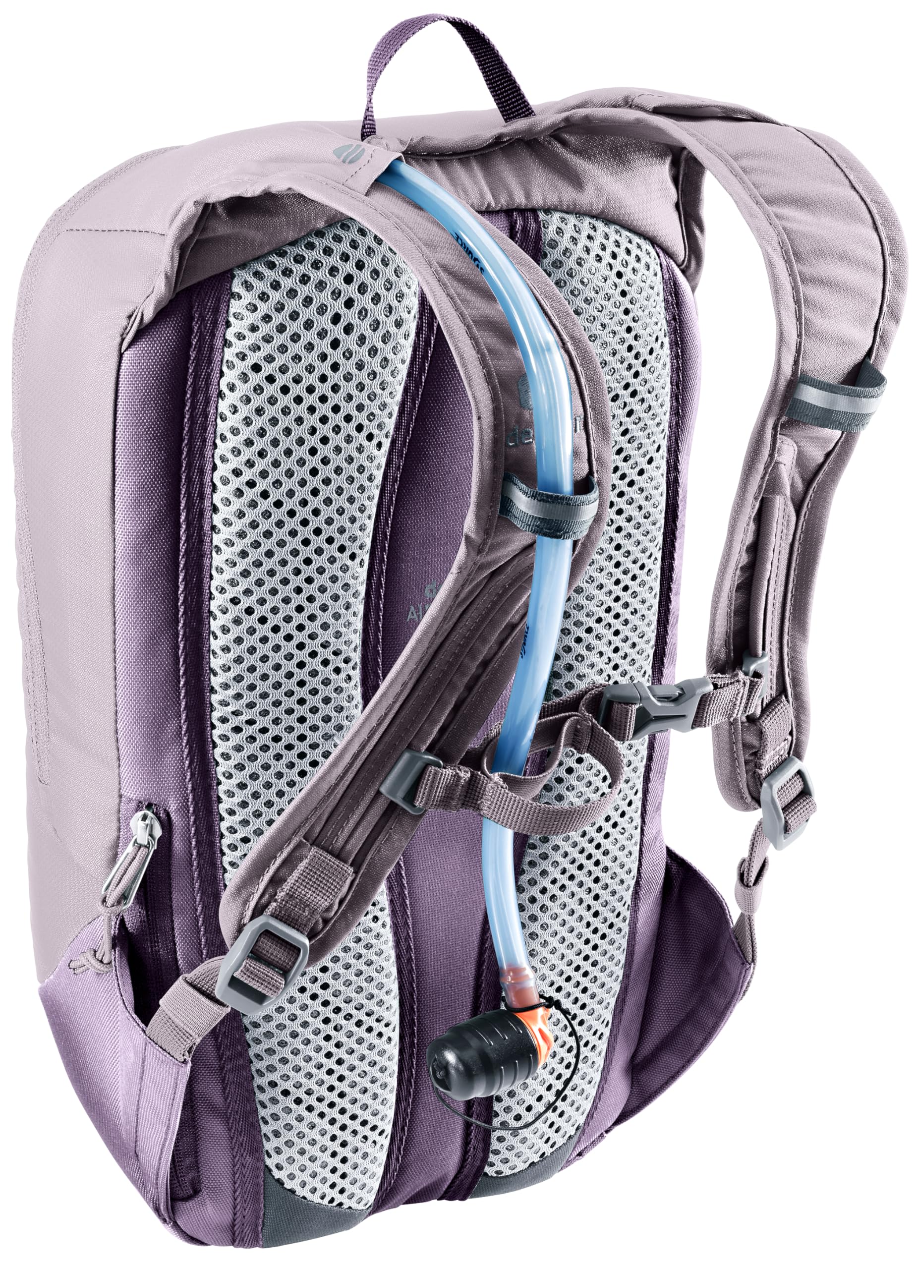 Lavender-Purple