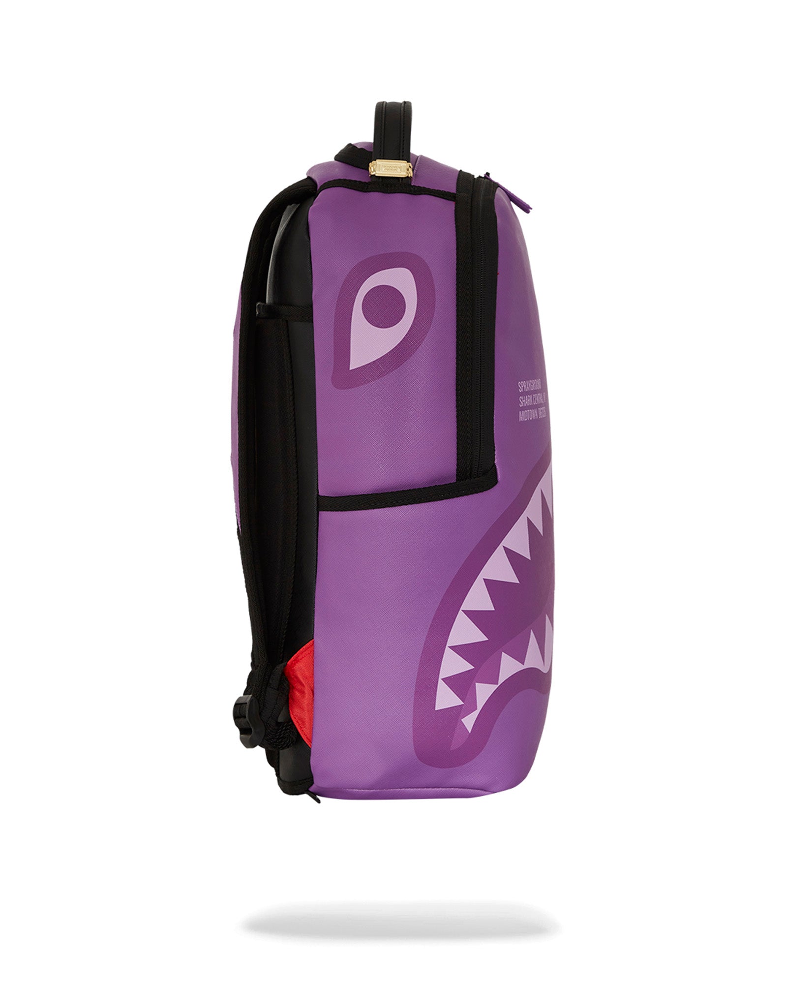 Purple Shark Central