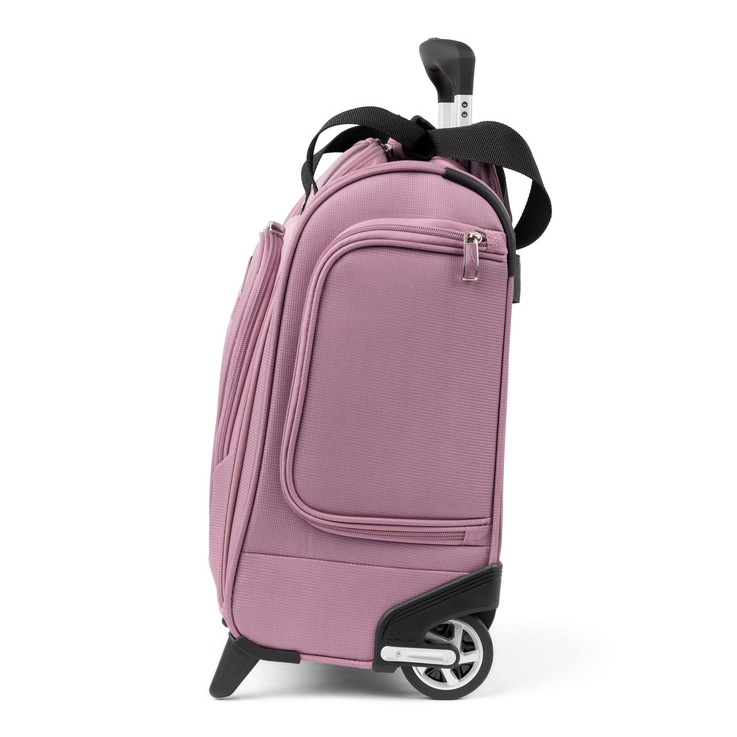 Orchid Pink Purple