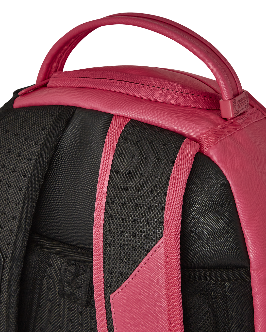 Shark Central Pink Slice