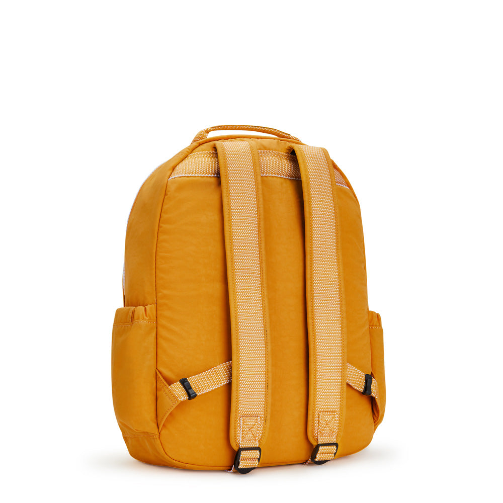 Rapid Yellow