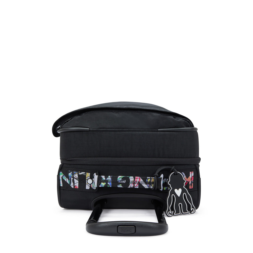 Black Noir Plus