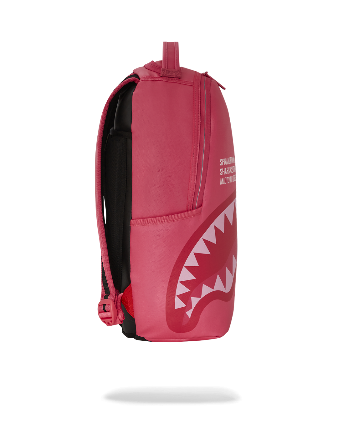 Shark Central Pink Slice