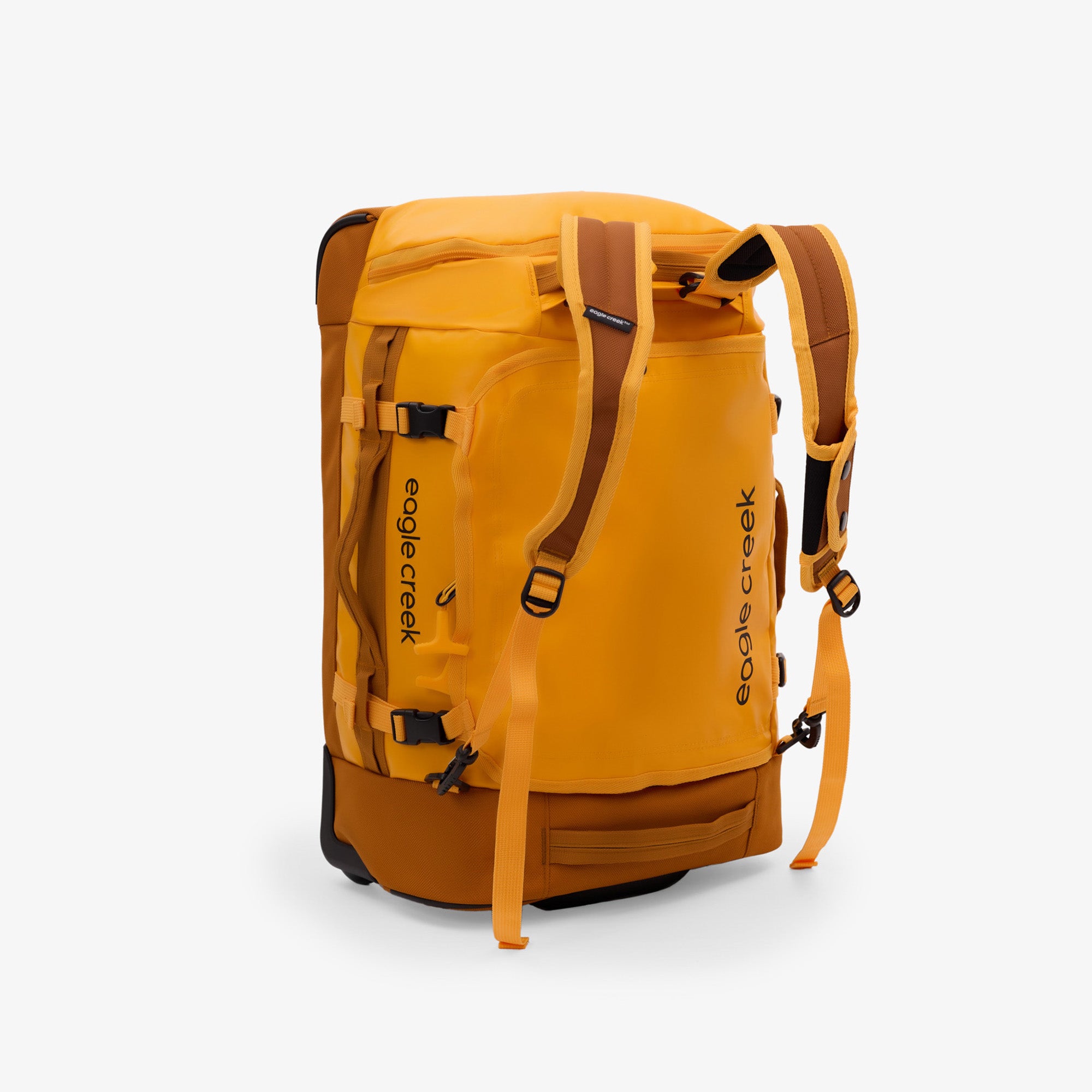Citrus Orange