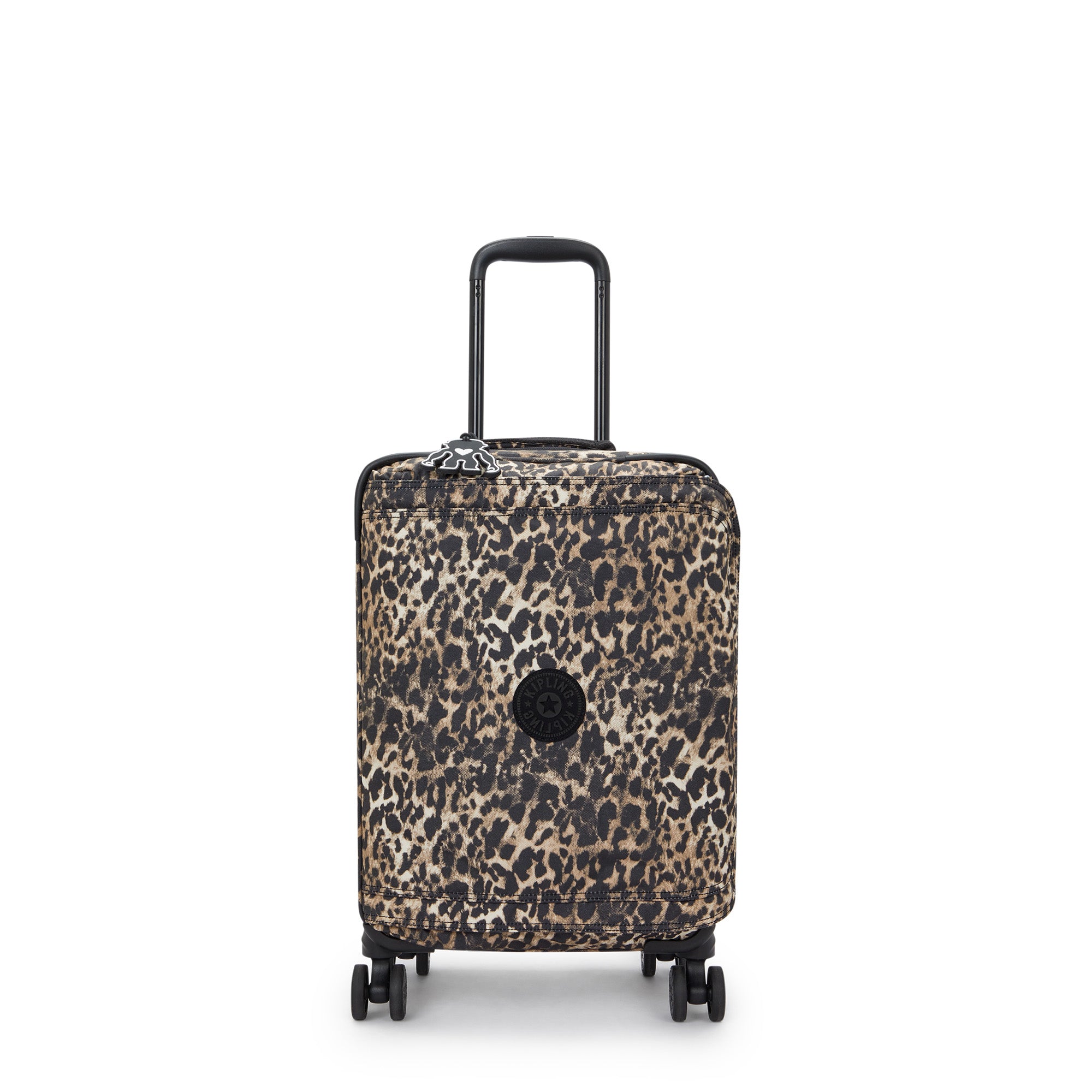 Wild Leopard