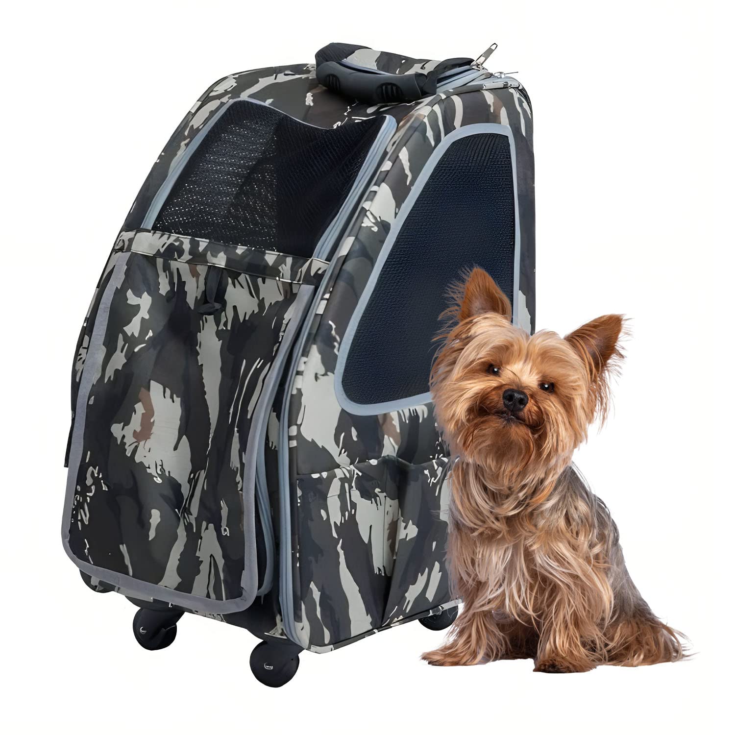 Army Camo