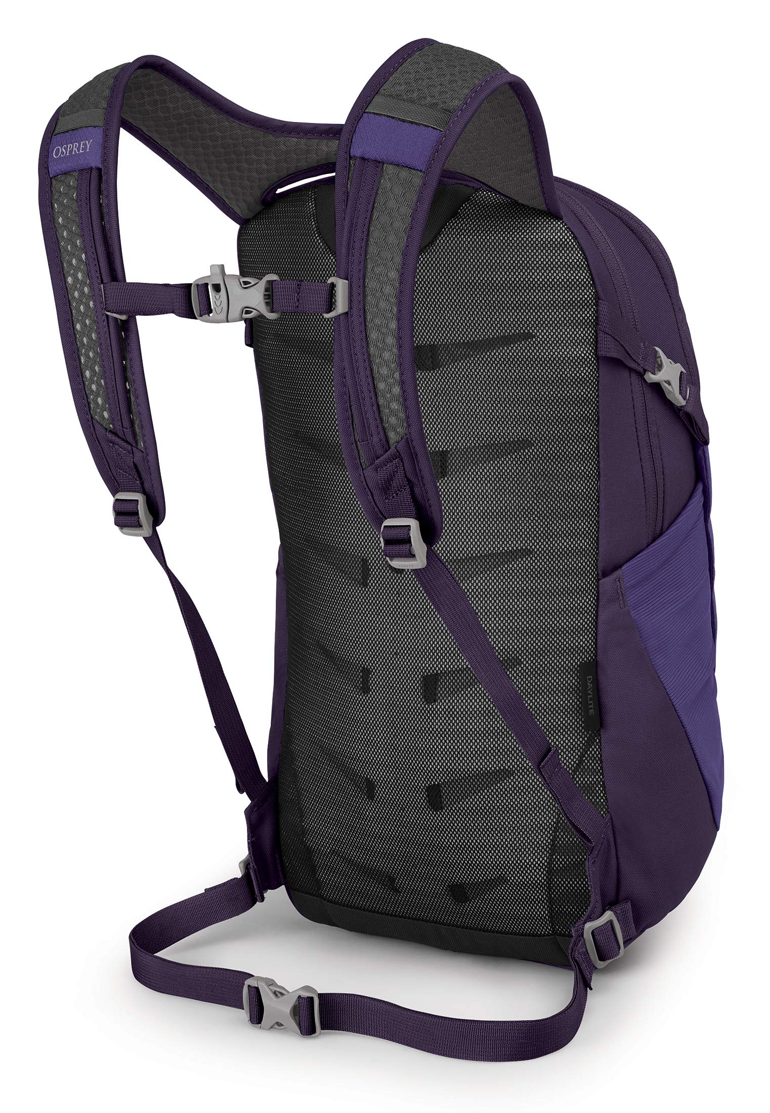 Dream Purple