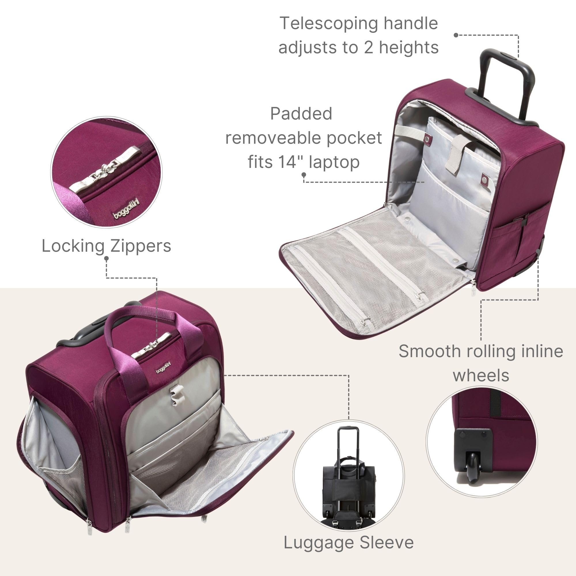 Mulberry