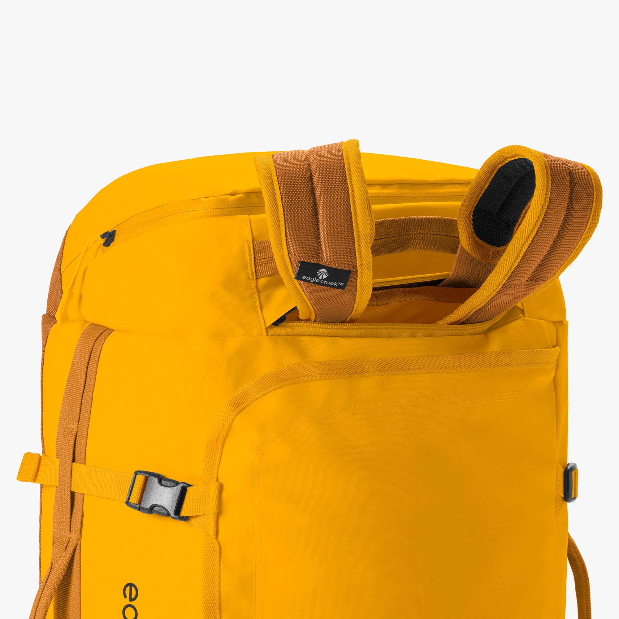 Citrus Orange