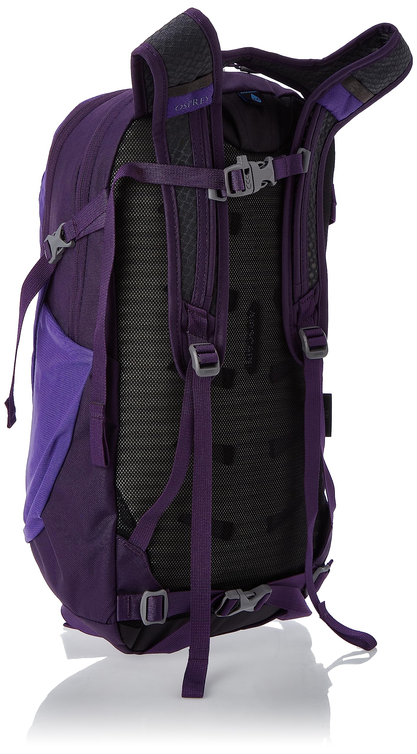 Dream Purple