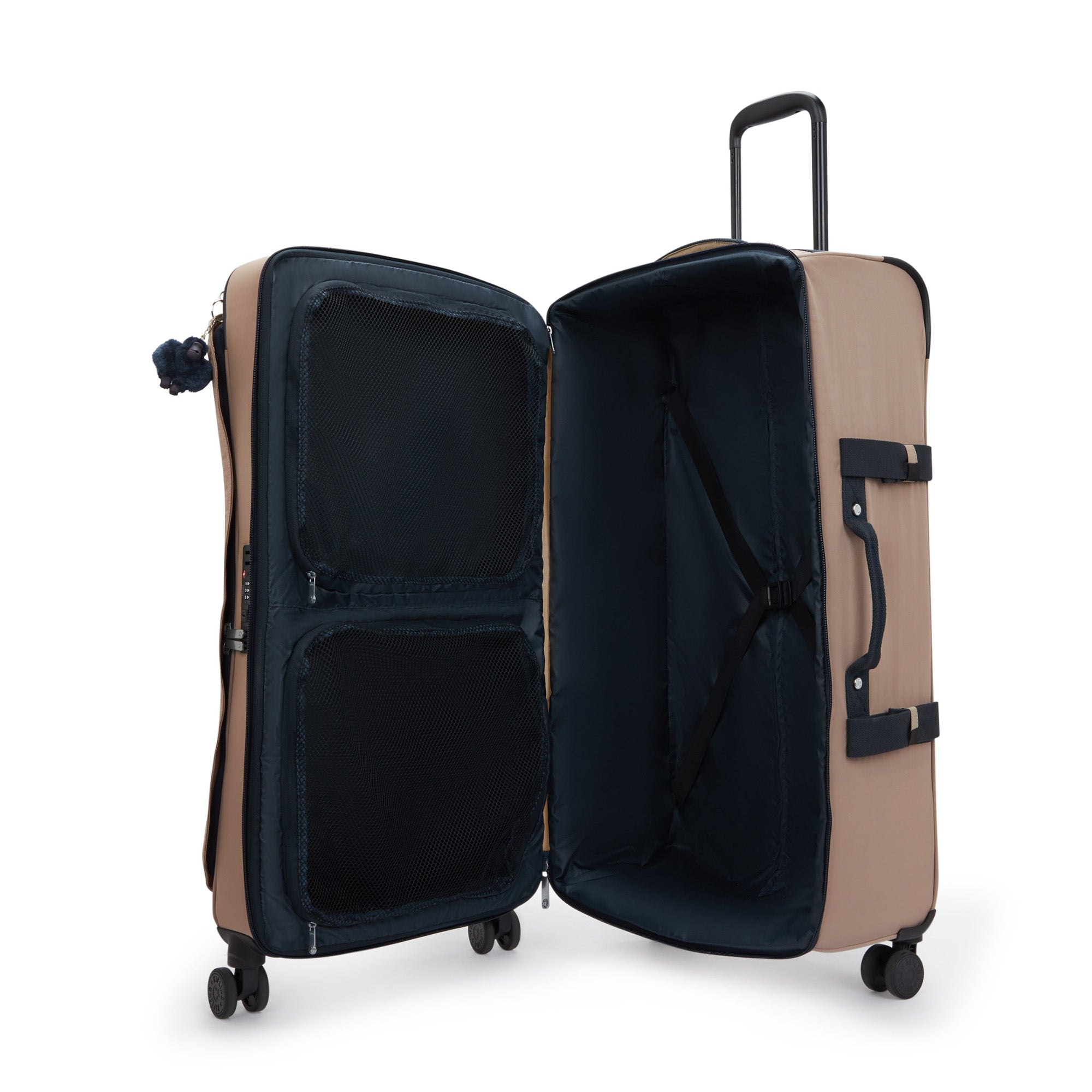 Soft Taupe C / Large