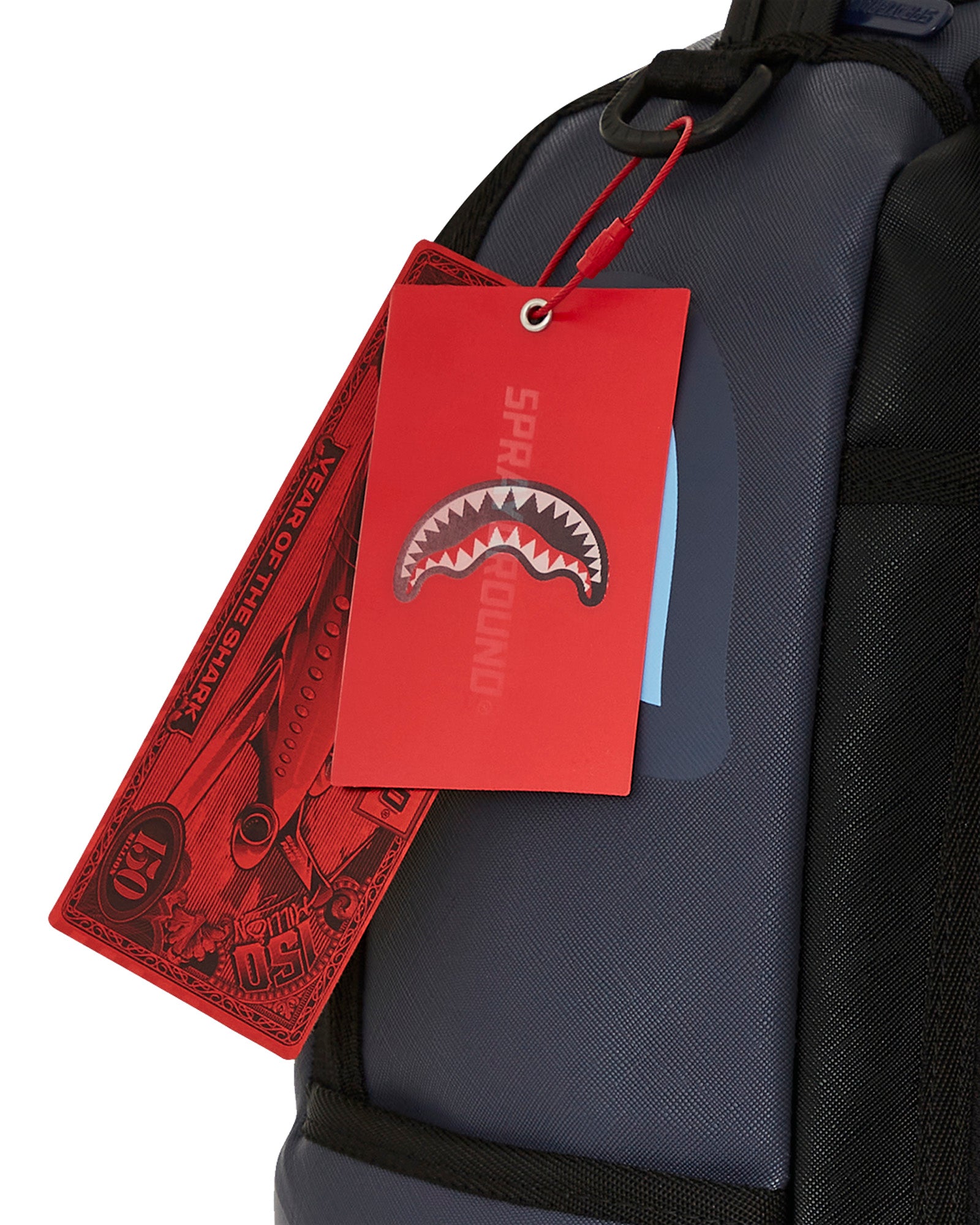 Shark Central Midnight Blue