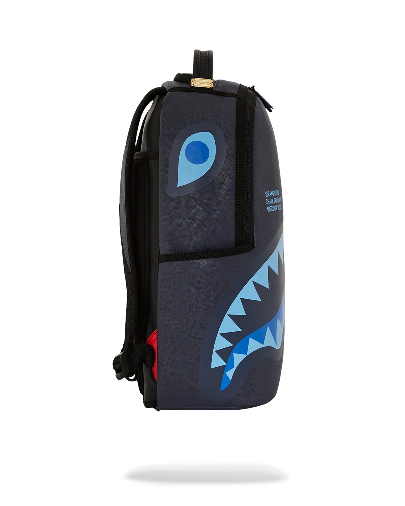 Shark Central Midnight Blue