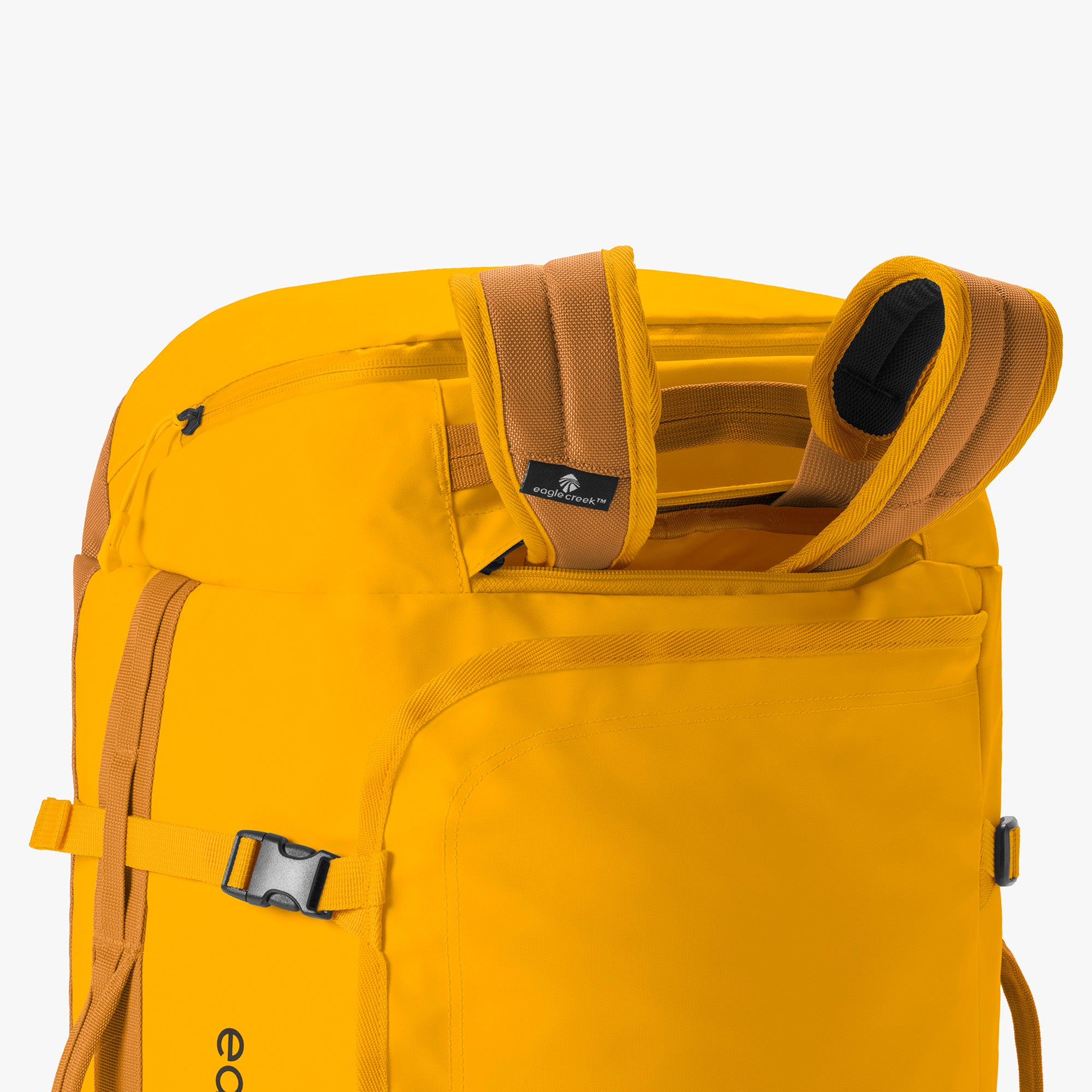 Citrus Orange