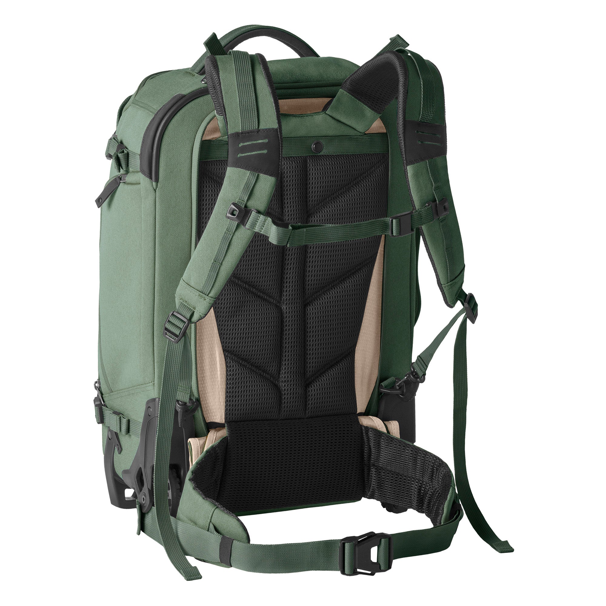 Jungle Green