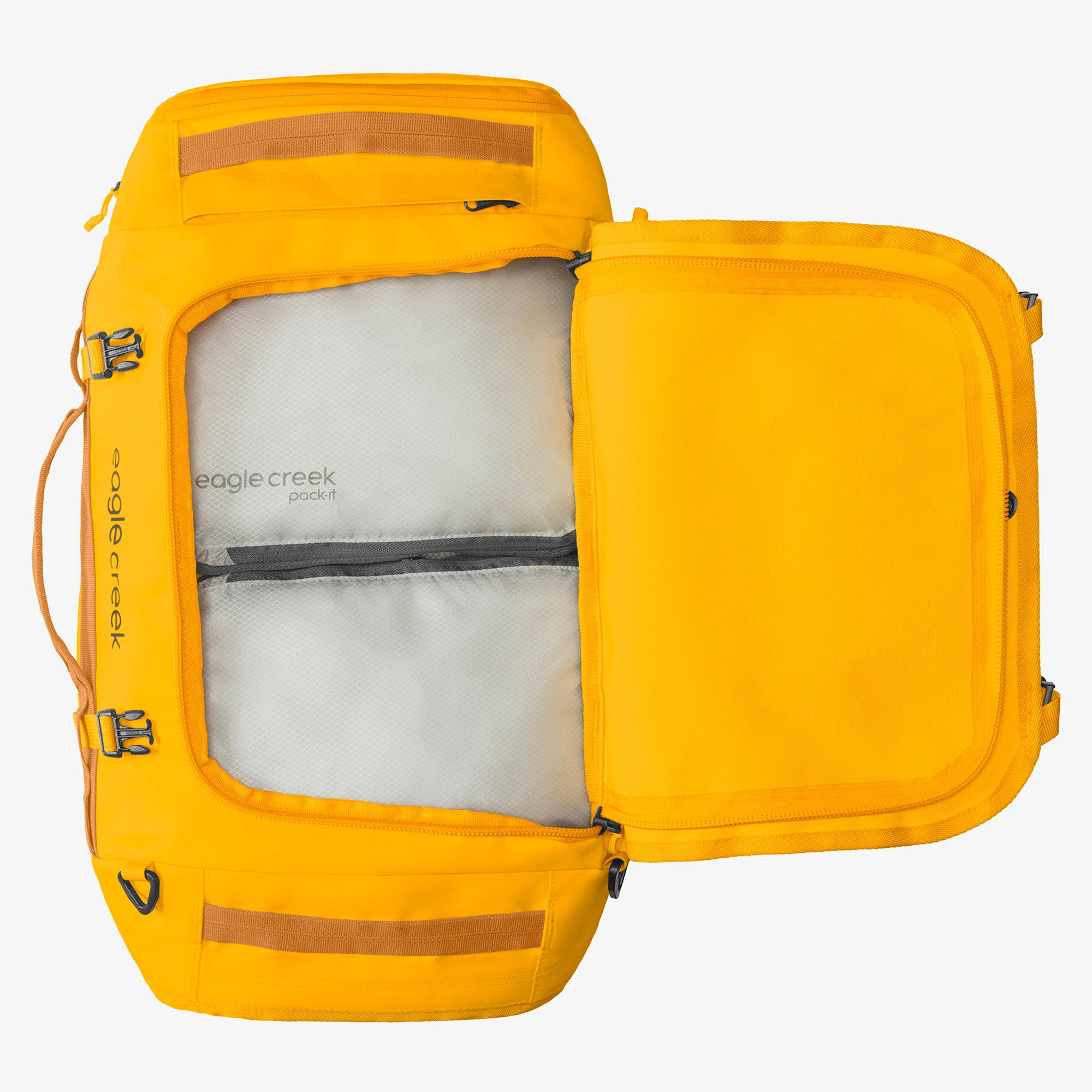 Citrus Orange